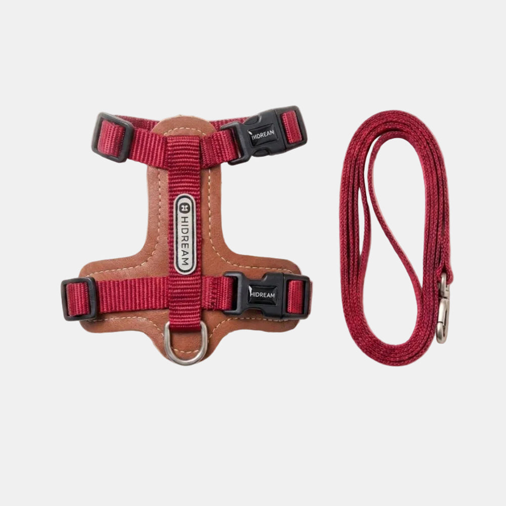 The Apex Harness