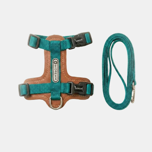 The Apex Harness