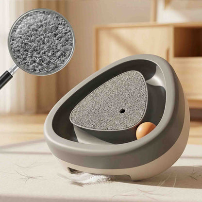 -in-1 cat scratch board with feather toy