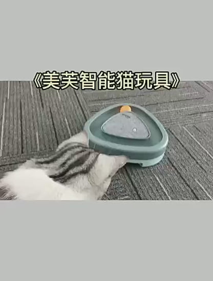 Cat Scratch Board & Feather Toy – 2-in-1